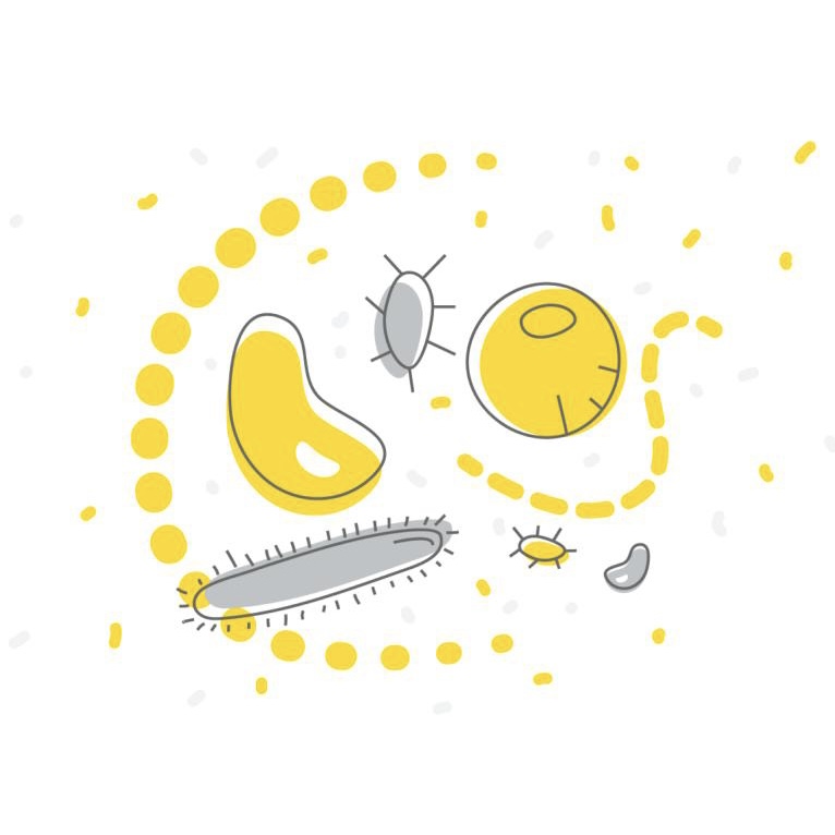 Gut Microbiome Analysis with KNIME Analytics Platform