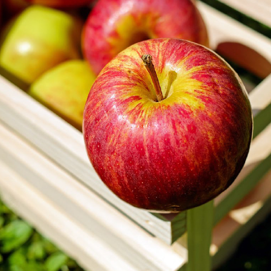 DALL-E and KNIME automate apple image generation