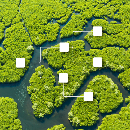 How to create a decision tree