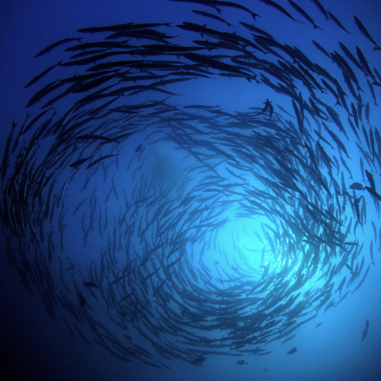 Governed Virality: Data Alignment is the Real Speed Advantage