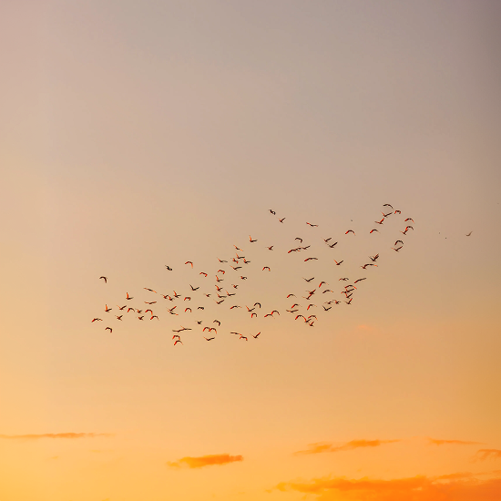 Alteryx to Knime migration FAQs
