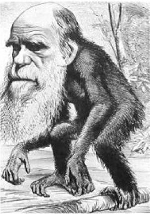 evolution.png