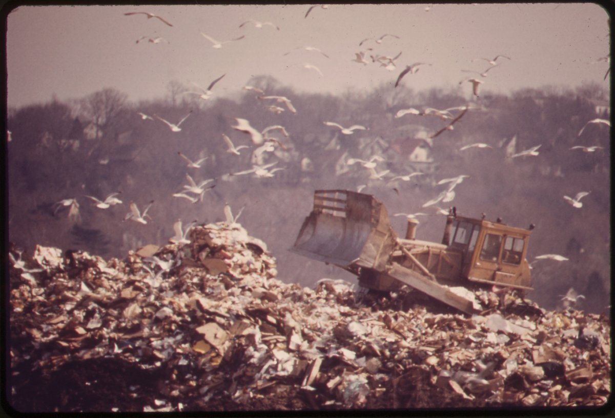 hackensack_dump_is_feeding_ground_for_gulls._in_time_this_landfill_will_provide_recreation_for_the_bergen_county._-_nara_-_549741.jpg