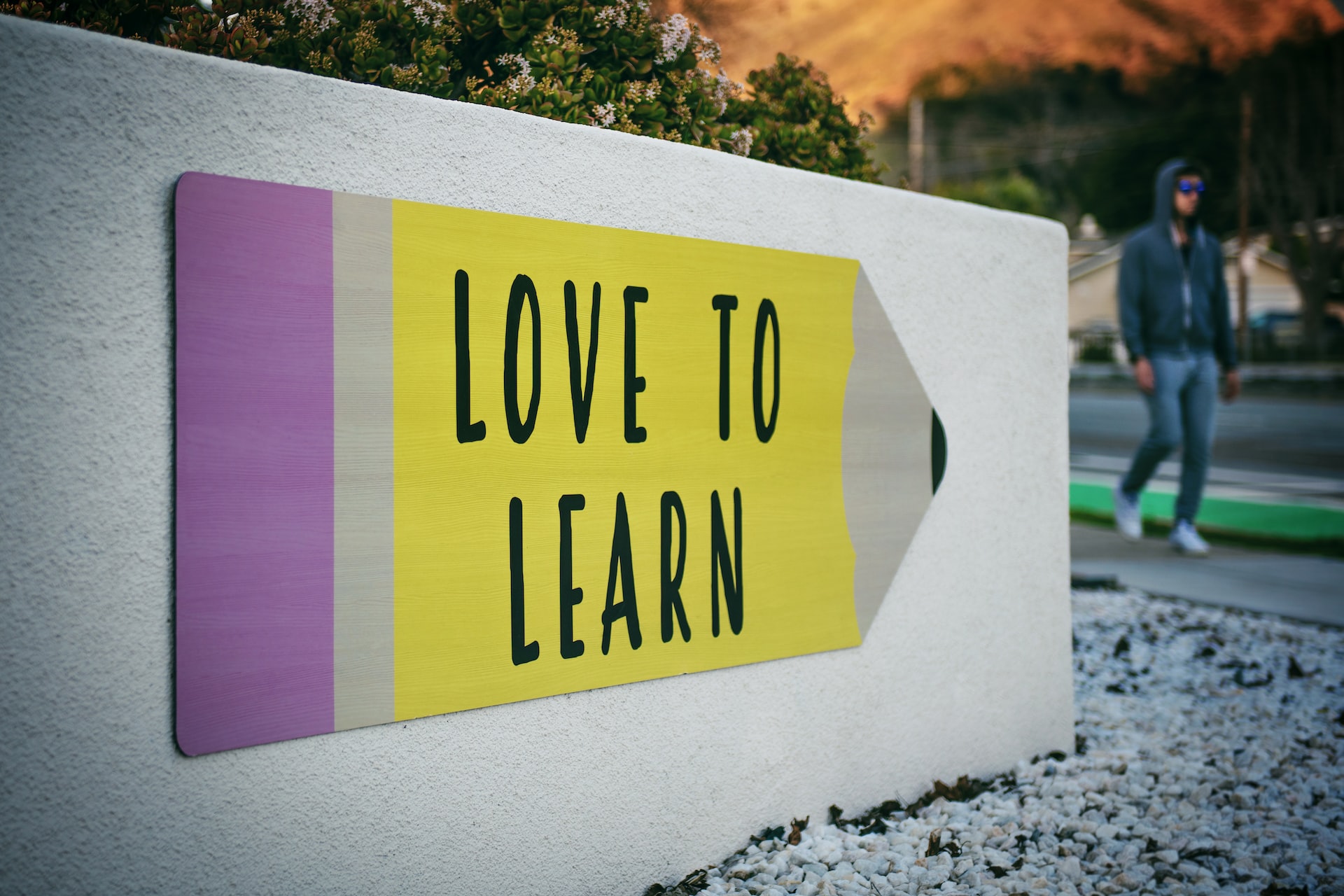 Educators Name KNIME's Top Features for Teaching
