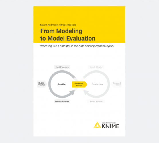 New ebook - From Modeling to Model Evaluation