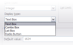 Available display types: text box, combo box, list box, radio button