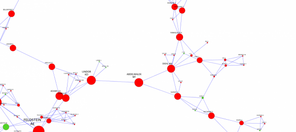 Detailed View of the Author Network