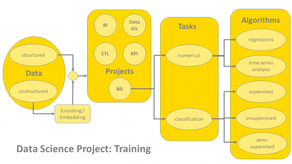 Training Options in a Data Science Project